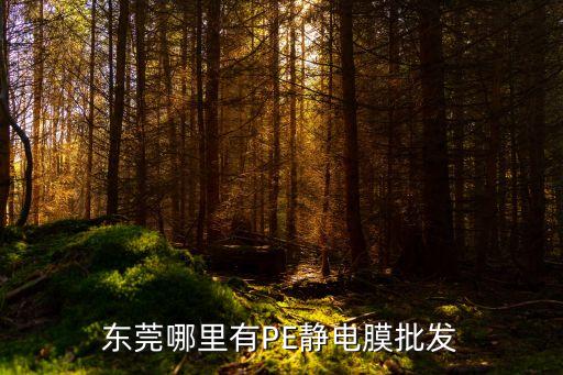東莞哪里有PE靜電膜批發
