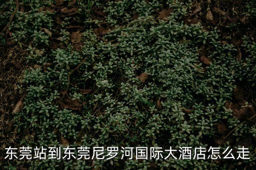 東莞站到東莞尼羅河國際大酒店怎么走