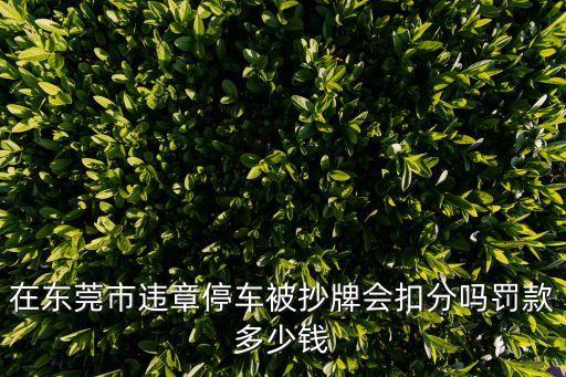 在東莞市違章停車被抄牌會扣分嗎罰款多少錢