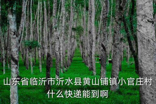 東莞佳隆物流，山東省臨沂市沂水縣黃山鋪鎮小官莊村什么快遞能到啊