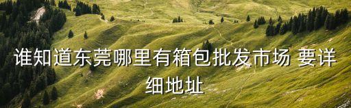 東莞林泰箱包哪里買，東莞那里有便宜點的箱包買