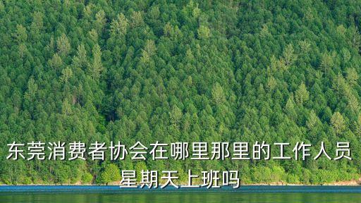 東莞消費者協(xié)會在哪里那里的工作人員星期天上班嗎