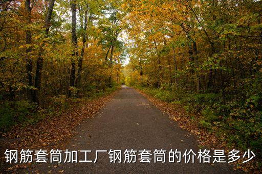 鋼筋套筒加工廠鋼筋套筒的價格是多少
