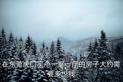 在東莞虎門買個一室一廳的房子大約需要多少錢
