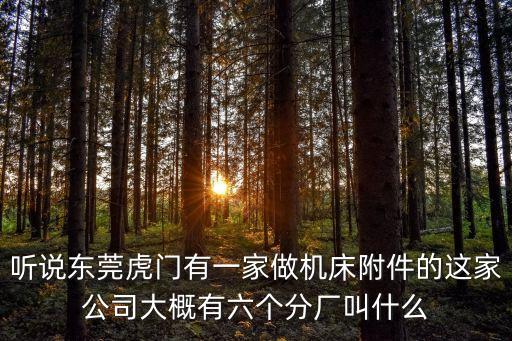 聽說東莞虎門有一家做機床附件的這家公司大概有六個分廠叫什么