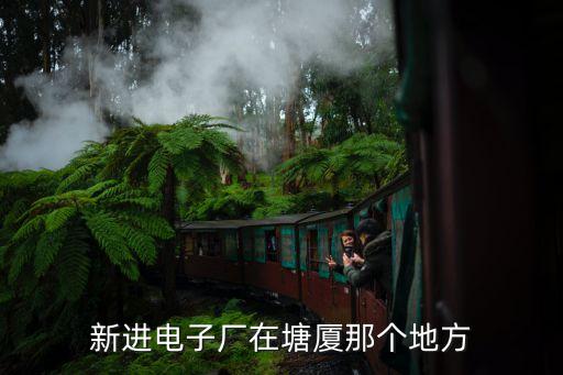 東莞塘廈鎮大新工業區，東莞塘廈鎮內有那些工業區