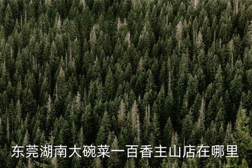 東莞湖南大碗菜一百香主山店在哪里