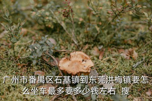 東莞石排到東莞洪梅怎么坐車，石排到洪梅怎么坐車