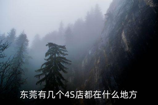大眾捷達4s店東莞哪里有，東莞哪里有捷達王買