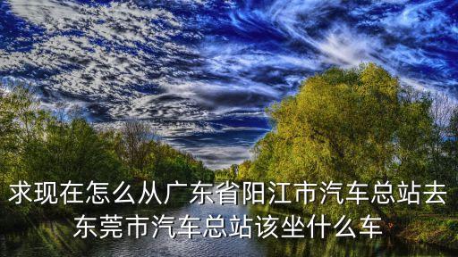 求現在怎么從廣東省陽江市汽車總站去東莞市汽車總站該坐什么車