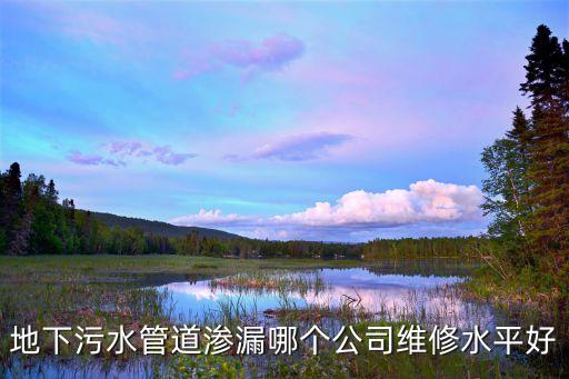 地下污水管道滲漏哪個(gè)公司維修水平好
