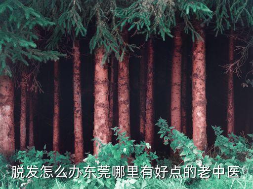 東莞市橫瀝老中醫(yī)在哪里，請問東莞橫瀝醫(yī)院在哪里