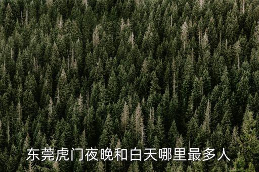 東莞虎門夜晚和白天哪里最多人