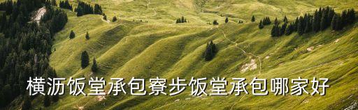橫瀝飯?zhí)贸邪疾斤執(zhí)贸邪募液? class=