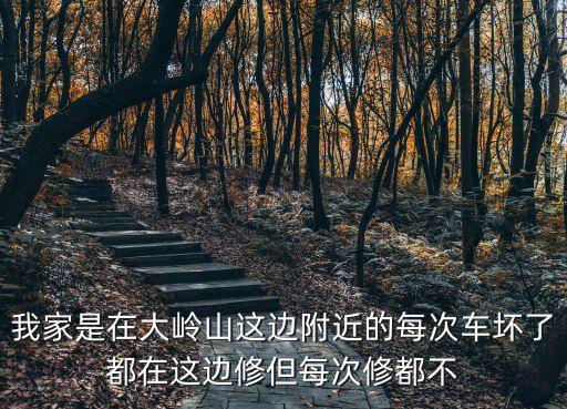 東莞市大嶺山有多少家汽車維修，請問下大嶺山那附近有沒有奔馳專修廠