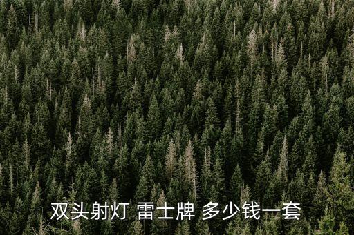 雙頭射燈 雷士牌 多少錢一套