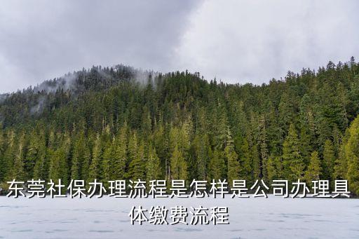 東莞社保辦理流程是怎樣是公司辦理具體繳費(fèi)流程
