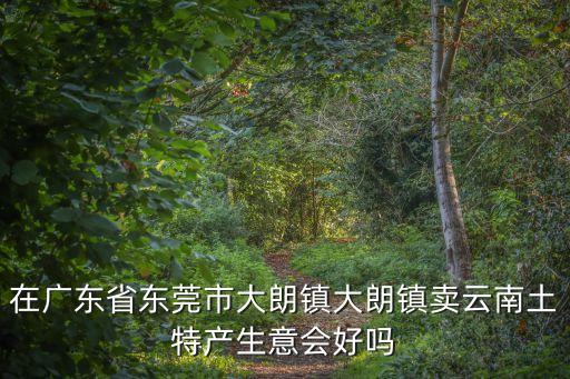 東莞大朗佛西市場生意好做嗎，東莞大朗大和百貨怎么樣平常去的人多嗎