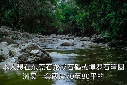 本人想在東莞石龍或石碣或博羅石灣圓洲買一套兩房70至80平的