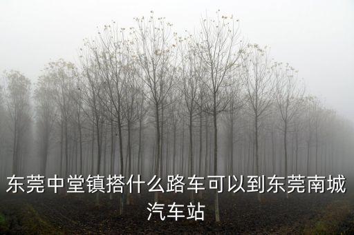 東莞中堂到東莞南站有多少公里，中堂車站離東莞總站有多遠(yuǎn)路程