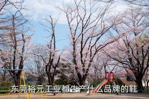 東莞裕元精進成電子科技有限公司，怎么才能進東莞黃江裕元工業區的精成科技啊急急急
