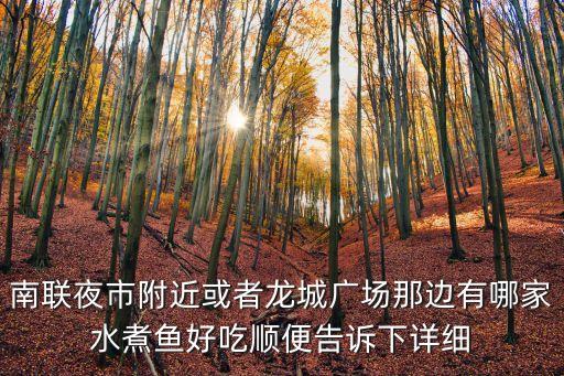 南聯夜市附近或者龍城廣場那邊有哪家水煮魚好吃順便告訴下詳細