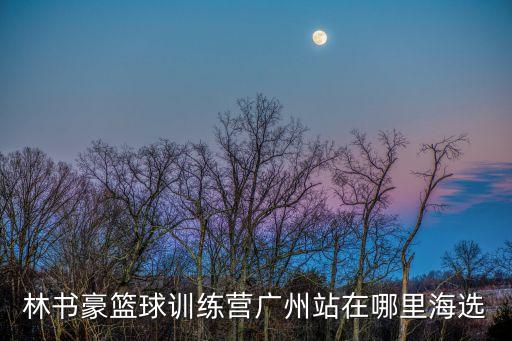 東莞塘廈鎮(zhèn)籃球架，濟南玻璃鋼制品玻璃鋼制品表面要用什么油漆怎么處理