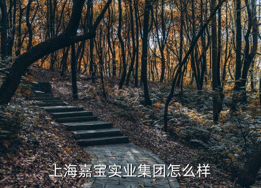 東莞嘉寶電子實業(yè)怎樣，廣東嘉寶莉公司怎么樣