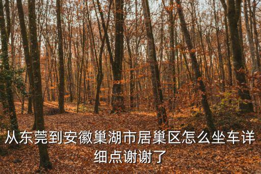 從東莞到安徽巢湖市居巢區(qū)怎么坐車詳細(xì)點(diǎn)謝謝了