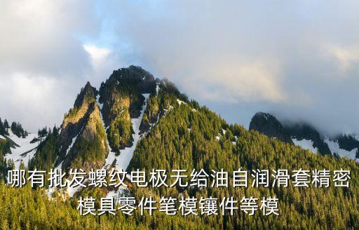 哪有批發螺紋電極無給油自潤滑套精密模具零件筆模鑲件等模