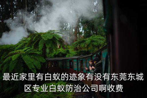 東莞辦公室白蟻防治價位，白蟻防治費多少