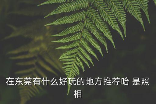 東莞有哪些拍照的地方嗎，東莞有那些好景點可以照比如說向日葵地或銀杏樹葉等等