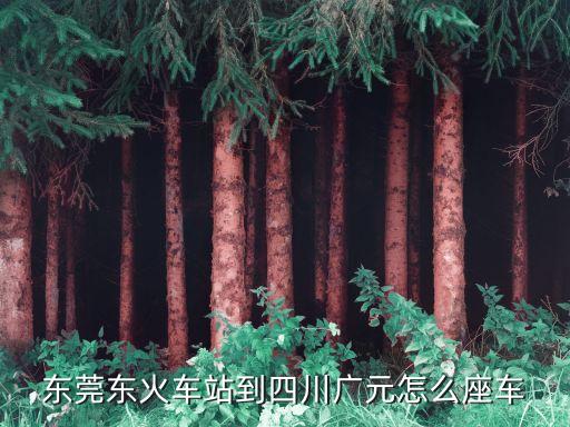 東莞至廣元火車，東莞東火車站到四川廣元怎么座車