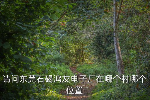東莞市石碣鴻利電子，請問東莞石碣鴻友電子廠在哪個村哪個位置