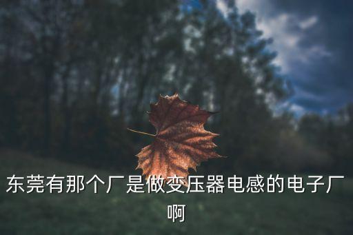 東莞有那個(gè)廠是做變壓器電感的電子廠啊