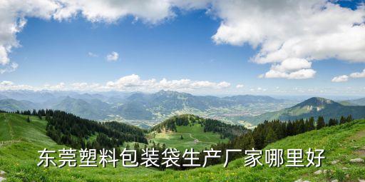 東莞塑料包裝袋生產廠家哪里好