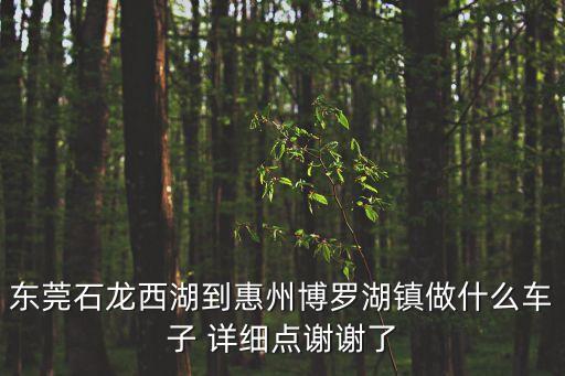 東莞石龍西湖到惠州博羅湖鎮(zhèn)做什么車子 詳細(xì)點(diǎn)謝謝了