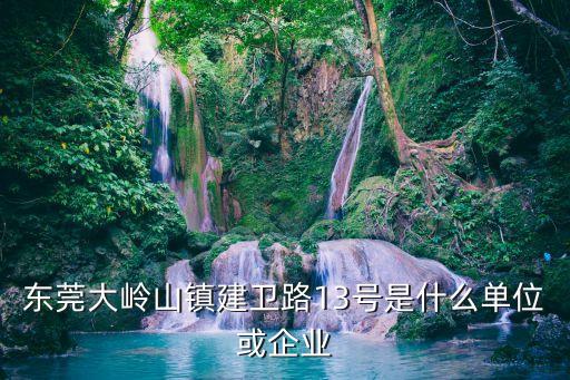 東莞大嶺山鎮建衛路13號是什么單位或企業