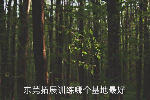 東莞趣味拓展基地，東莞拓展訓練哪個基地最好