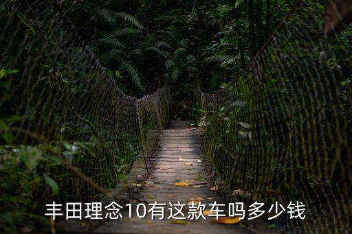 豐田理念10有這款車嗎多少錢