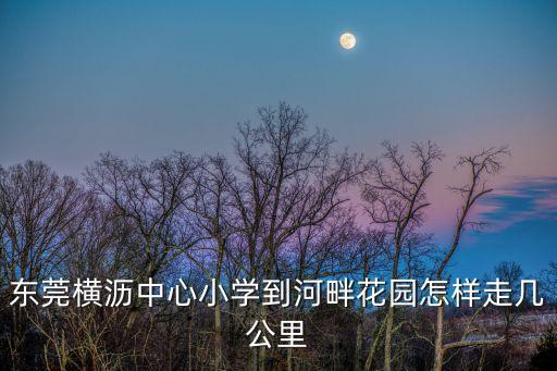 東莞橫瀝中心小學到河畔花園怎樣走幾公里