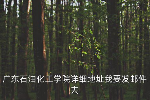 東莞理工學(xué)院廣東石油化工學(xué)院郵編，東莞理工學(xué)院
