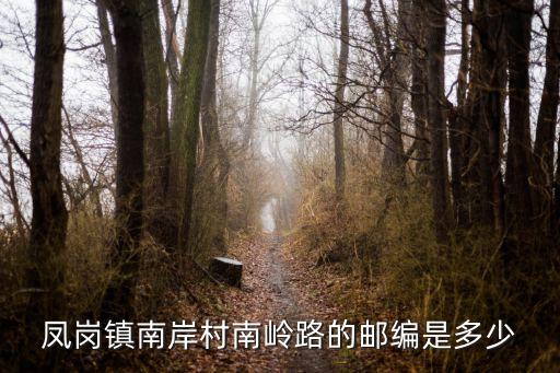 東莞市鳳崗鎮南岸，鳳崗鎮南岸村南嶺路的郵編是多少