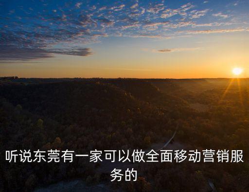 東莞智慧營銷，聽說東莞有一家可以做全面移動營銷服務(wù)的