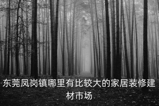 東莞鳳崗南屏市場在哪里，南屏科技園批發市場在哪