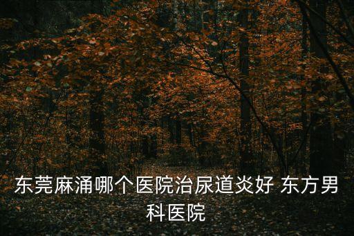 東莞麻涌沉箱預(yù)制場(chǎng)，誰知道東莞麻涌分揀中心在哪里