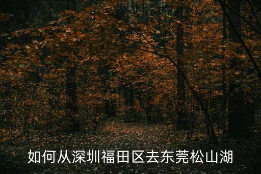如何從深圳福田區去東莞松山湖