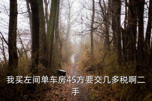 我買左間單車房45方要交幾多稅啊二手