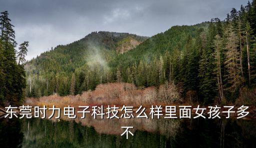 東莞時(shí)力電子科技怎么樣里面女孩子多不