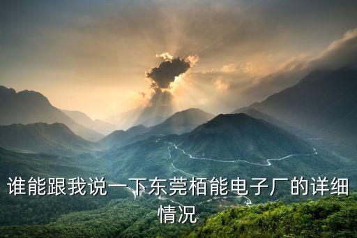 誰能跟我說一下東莞栢能電子廠的詳細情況